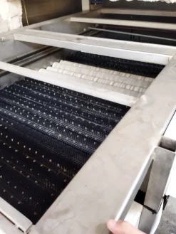Linea lavorazione frutta