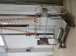 Linea macello bovini pedana paranco guidovia