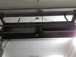 Linea macello bovini pedana paranco guidovia