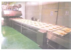 LINEA PIZZE E PRODOTTI DA FORNO (BAMAK) + STOCCAGGIO FARINE (Federico Giuliani)