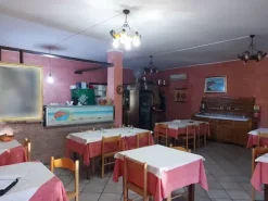 #11746 Locale adibito a trattoria al piano terra