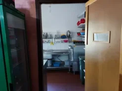 #11746 Locale adibito a trattoria al piano terra