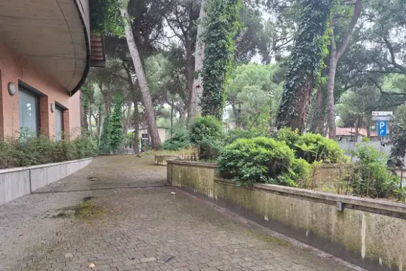#2536106 Locali di un ex istituto bancario con corte
