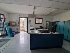 #2532013 Locali ex istituto bancario con corte esclusiva