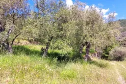 #24285 Lotto di terreno (porzione 6) in ex polveriera