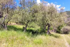 #24281 Lotto di terreno (porzione 2) in ex polveriera