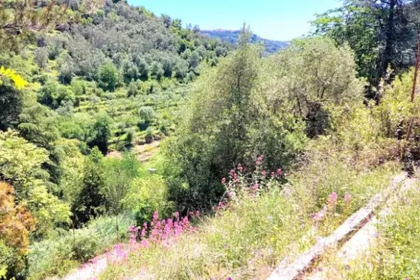 #24280 Lotto di terreno (porzione 1) in ex polveriera