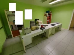 1#6329 Macchinari per falegnameria e Autocarro Fiat