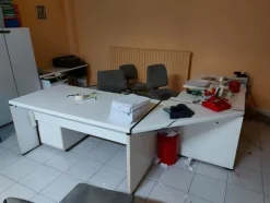 1#6329 Macchinari per falegnameria e Autocarro Fiat