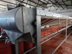 9#7582 Macchinari per la lavorazione delle olive