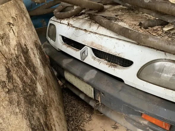 1#7648 Macchinari produzione di prodotti caseari e autocarri