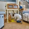Macina MPN120 - Impianto di molitura cereali a pietra
