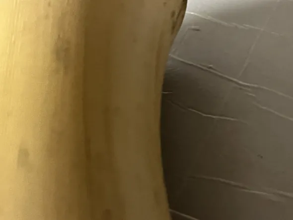 MERLOTTI FU7 rullo gomma original