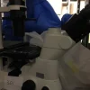 191#22880 Microscopio Nikon