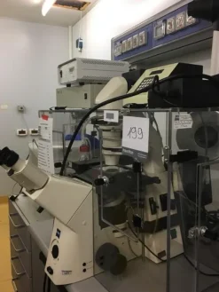 116#22880 Microscopio rovesciato Zeiss