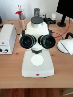 Microscopio stereo trinoculare Motic SMZ-171-TP