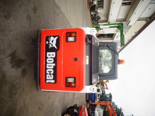 4#7807 Minipala gommata Bobcat
