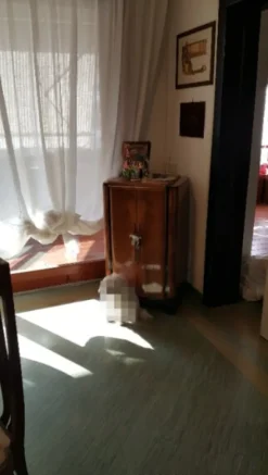 1#8325 Mobilio e arredo