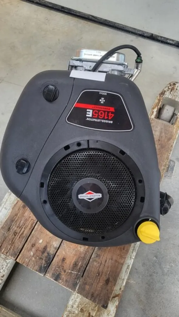 34#7807 Motore Briggs & Stratton