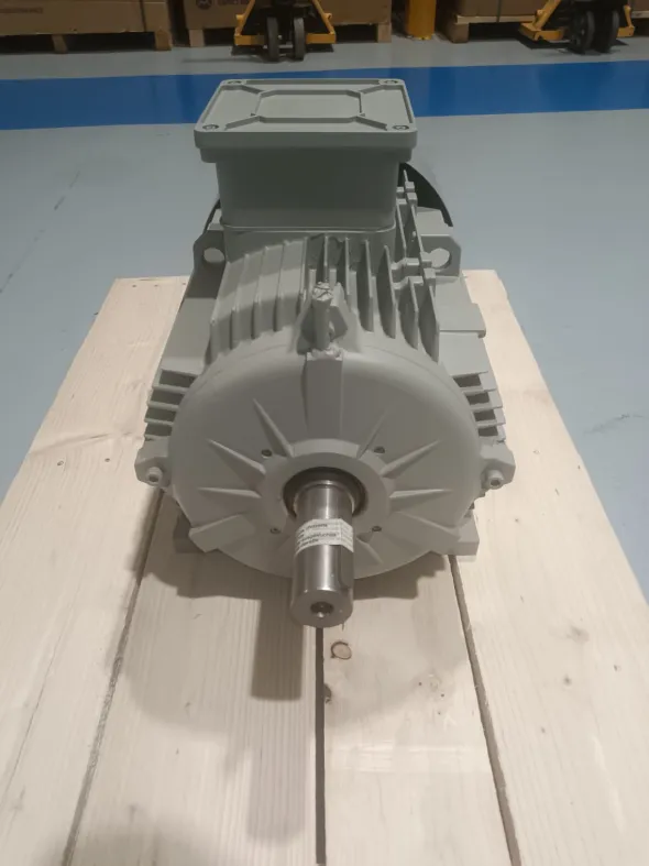 MOTORE ELETTRICO TRIFASE 22 kW