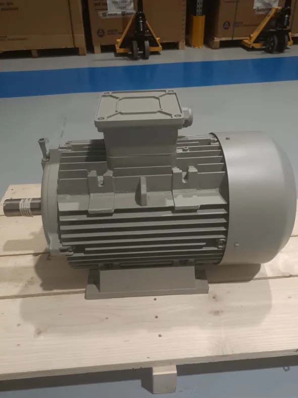MOTORE ELETTRICO TRIFASE 22 kW