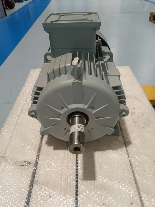MOTORE ELETTRICO TRIFASE 22 kW