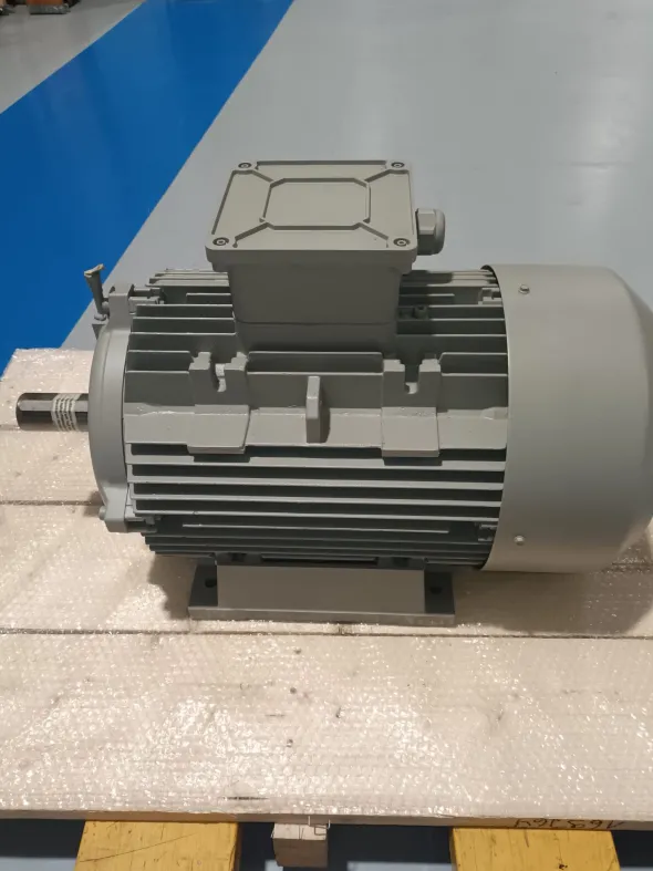 MOTORE ELETTRICO TRIFASE 22 kW