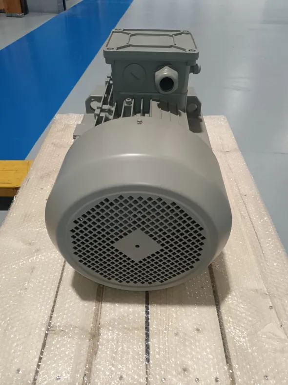 MOTORE ELETTRICO TRIFASE 22 kW