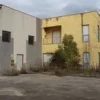 muletto40 quintali