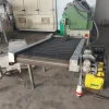99#8866 Nastro trasportatore Dragoni