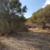 #2921 OPE in LCA - Terreno naturale vicino al mare