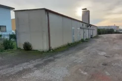 #19551 Opificio con corte esterna e frustoli di terreno