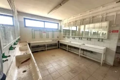 #2639836 Opificio con uffici e cortile privato (part 256)