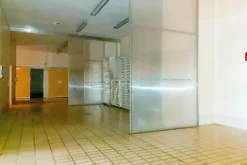 #20747 Opificio industriale con porzione di terreno