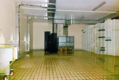 #20747 Opificio industriale con porzione di terreno