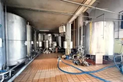 #24757 Opificio per produzione alimentare con terreni