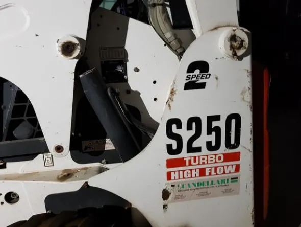 34#2895 Pala Bobcat