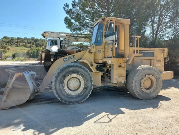 1#5601 Pala Gommata Maia