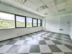 #25752 Palazzina direzionale multipiano con parcheggi, servizi accessorie corte