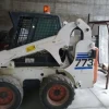 3#3635 Paletta Bobcat 773