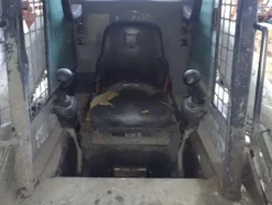 3#3635 Paletta Bobcat 773