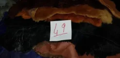 49#2618 Pellame da pellicceria