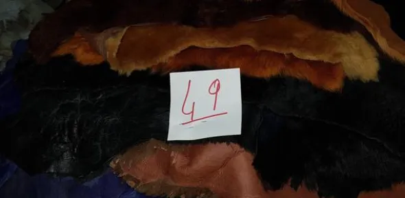 49#2618 Pellame da pellicceria