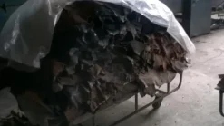 18#16490 Pelli semilavorate