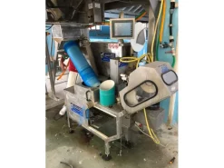 Pesatrice multitesta