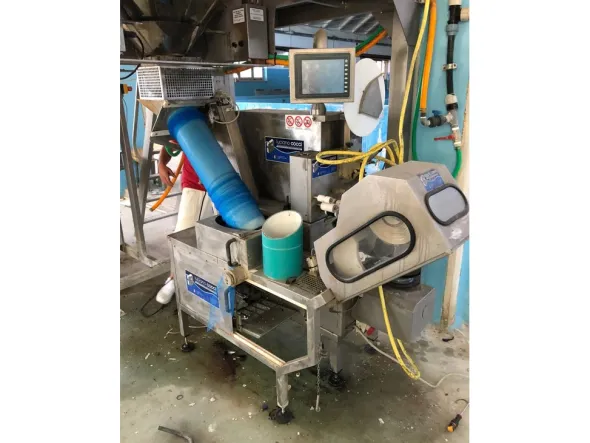 Pesatrice multitesta