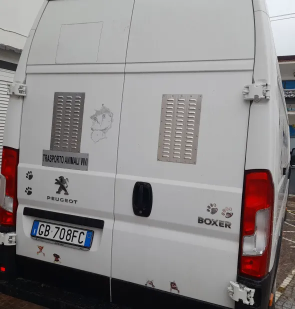 Peugeot boxer