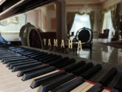 6#7809 Pianoforte a coda Yamaha 88 tasti