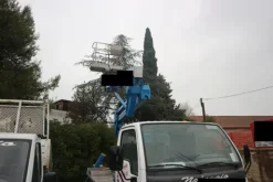 4#3814 Piattaforma autocarrata Sequani mod Z 20E