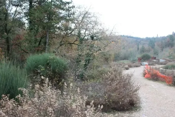 #3510 Porzione di lottizzazione “Borgo Lecchi”